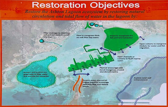 Arrow shows where openings will be made to increase natural circulation and tidal flow into the Lagoon. 