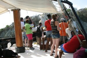 Workshop participants and instructors identifying seabirds in Tobago Cays Marine Park